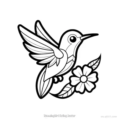 Free printable Hummingbird Eating Nectar 4 Coloring Page - Free PDF Printable Hummingbird Coloring Sheets coloring page