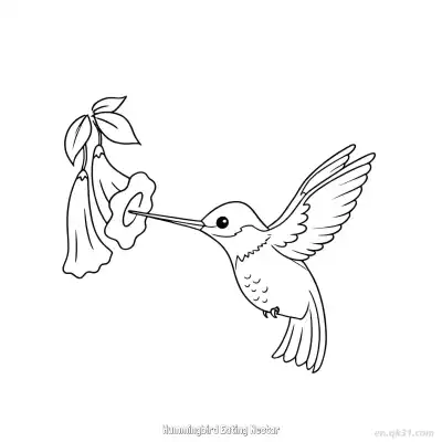 Free printable Hummingbird Eating Nectar 7 Coloring Page - Free PDF Printable Hummingbird Coloring Sheets coloring page