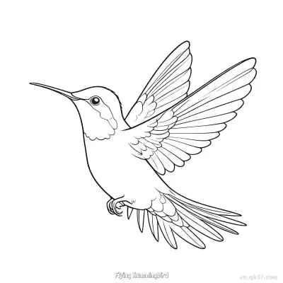 Free printable Flying Hummingbird 1 Coloring Page - Free PDF Printable Hummingbird Coloring Sheets coloring page