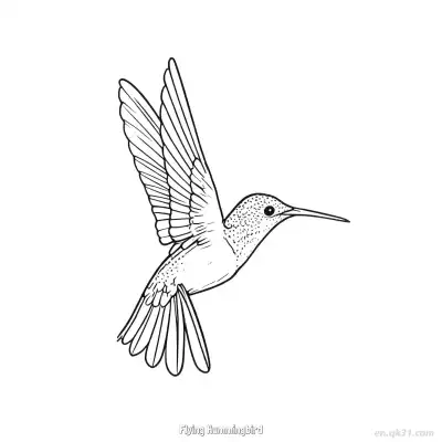 Free printable Flying Hummingbird 2 Coloring Page - Free PDF Printable Hummingbird Coloring Sheets coloring page