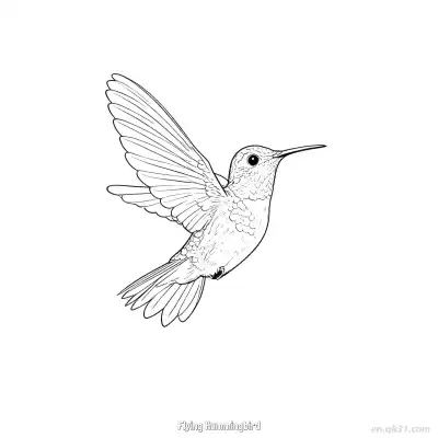 Free printable Flying Hummingbird 3 Coloring Page - Free PDF Printable Hummingbird Coloring Sheets coloring page