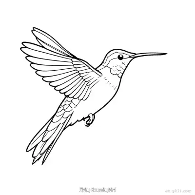 Free printable Flying Hummingbird 4 Coloring Page - Free PDF Printable Hummingbird Coloring Sheets coloring page