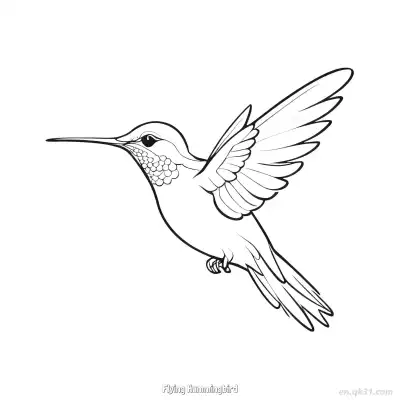 Free printable Flying Hummingbird 6 Coloring Page - Free PDF Printable Hummingbird Coloring Sheets coloring page