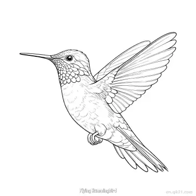 Free printable Flying Hummingbird 7 Coloring Page - Free PDF Printable Hummingbird Coloring Sheets coloring page