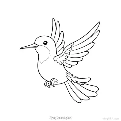 Free printable Flying Hummingbird 8 Coloring Page - Free PDF Printable Hummingbird Coloring Sheets coloring page