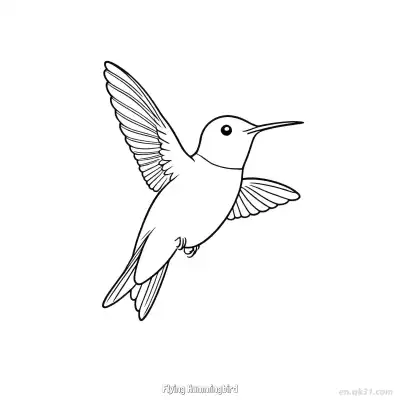 Free printable Flying Hummingbird 9 Coloring Page - Free PDF Printable Hummingbird Coloring Sheets coloring page