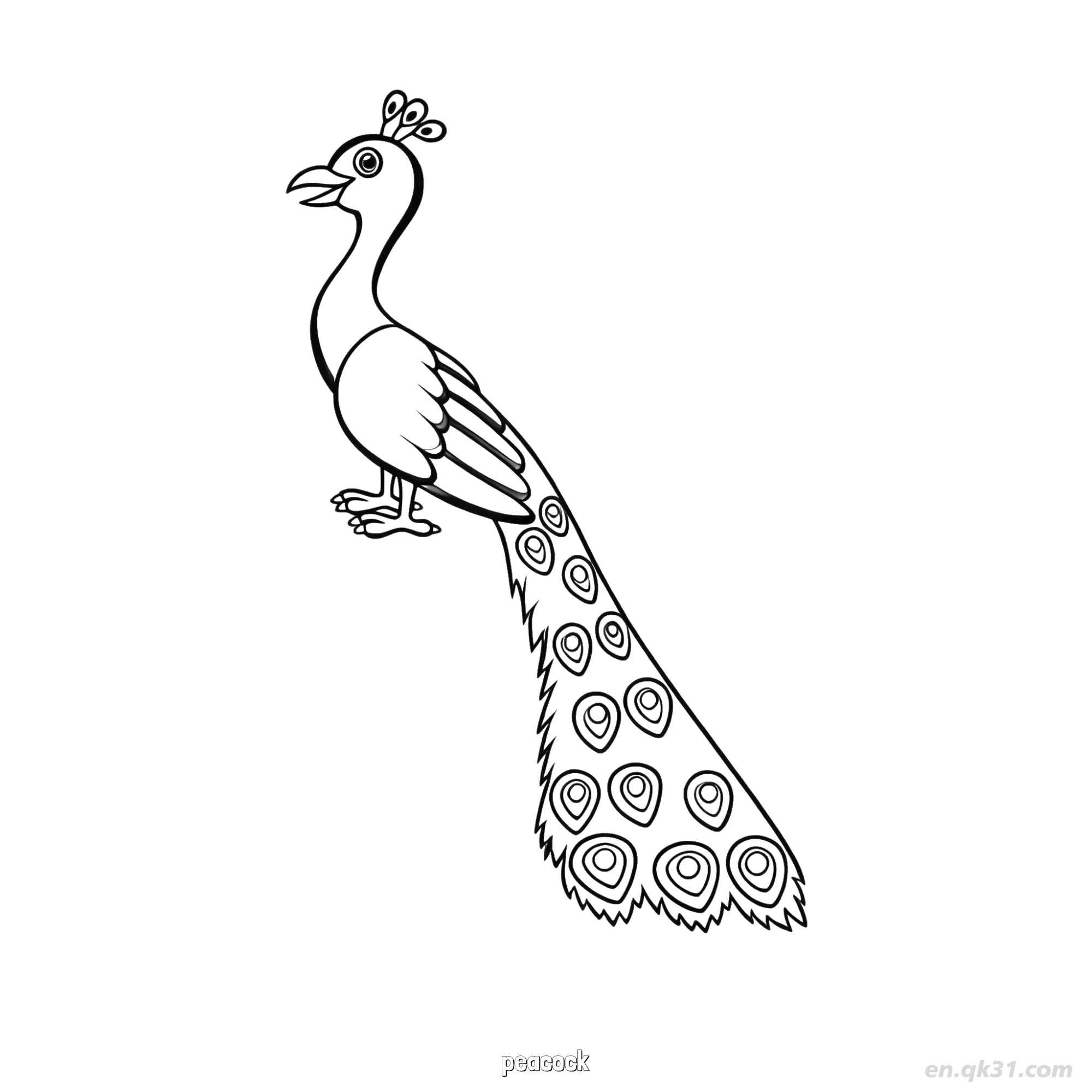 Peacock Feather Details Coloring Page – Free Printable Coloring Page for Kids and Adults