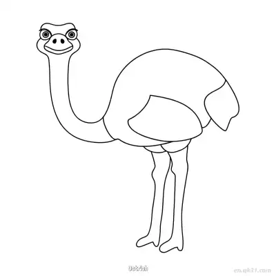 Free printable Standing Ostrich with Long Legs Coloring Page coloring page