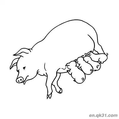 Free printable Ink Style Running Sow with Piglets Coloring Page coloring page
