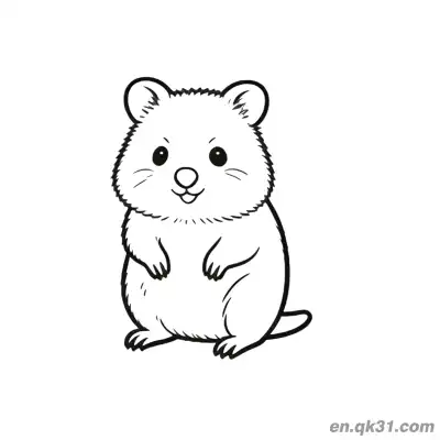 Free printable Bearded Front View Sitting Quokka Coloring Page coloring page