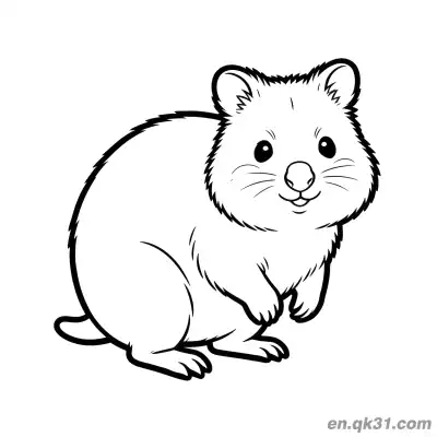 Free printable Bearded Side View Quokka Coloring Page coloring page