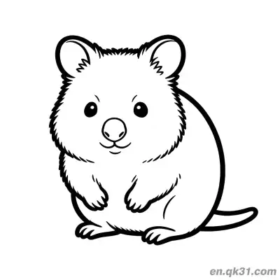 Free printable Cute Front View Sitting Quokka Coloring Page coloring page