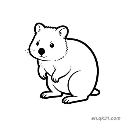 Free printable Left Side Looking Up Quokka Coloring Page coloring page