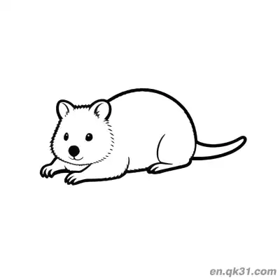 Free printable Lying Down Quokka Coloring Page coloring page