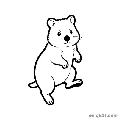 Free printable One Foot Lifted Jumping Quokka Coloring Page coloring page