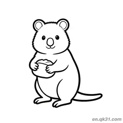 Free printable Quokka Holding Berries Sitting Coloring Page coloring page