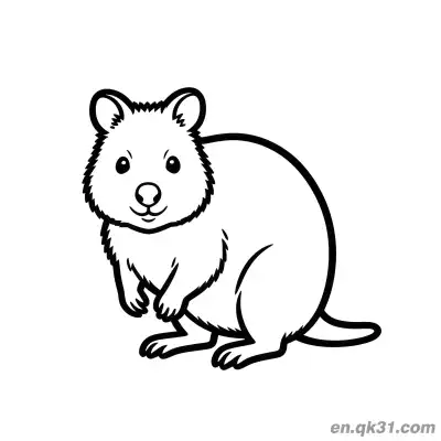 Free printable Realistic Side View Sitting Quokka Coloring Page coloring page