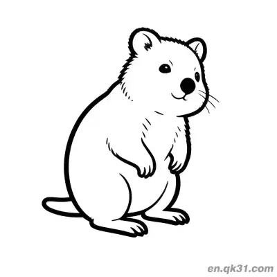 Free printable Right Side Looking Up Quokka Coloring Page coloring page