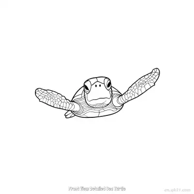 Free printable Front View Detailed Sea Turtle  Coloring Page - Free PDF Printable Sea Turtle Coloring Sheets coloring page