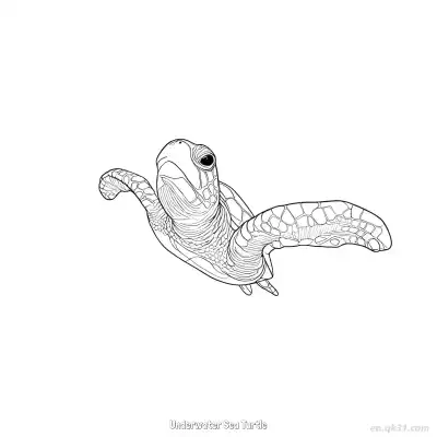 Free printable Underwater Sea Turtle  Coloring Page - Free PDF Printable Sea Turtle Coloring Sheets coloring page