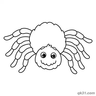Fluffy Round Belly Spider Coloring Page