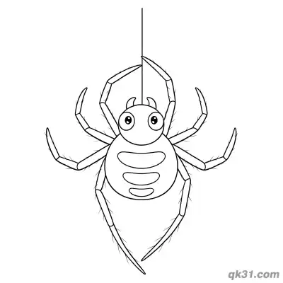 Hanging Realistic Fuzzy Spider Coloring Page