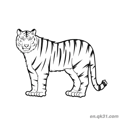 Free printable Realistic Standing Tiger Coloring Page coloring page