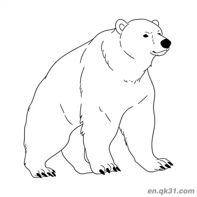 Free printable Fierce Walking Polar Bear Coloring Page coloring page