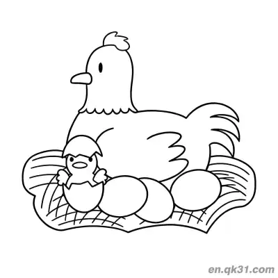 Free printable Hen with Hatching Chick in Nest Coloring Page | Mother and Baby coloring page