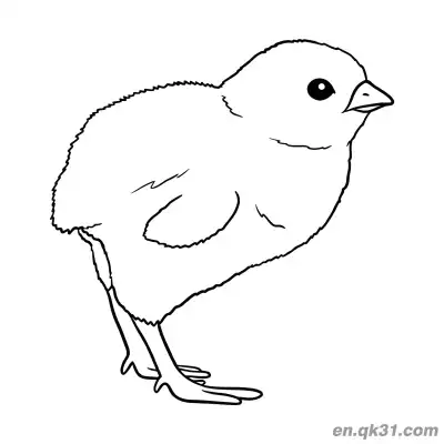 Free printable Realistic Style Baby Chick Coloring Page | Detailed Farm Bird coloring page
