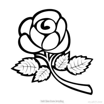 Free printable Bold Line Rose Drawing  Coloring Page - Free PDF Printable Rose Coloring Sheets coloring page