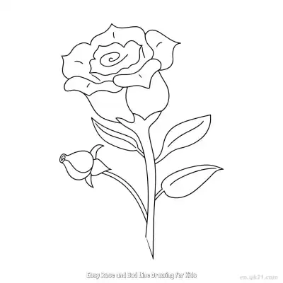 Free printable Easy Rose and Bud Line Drawing for Kids  Coloring Page - Free PDF Printable Rose Coloring Sheets coloring page