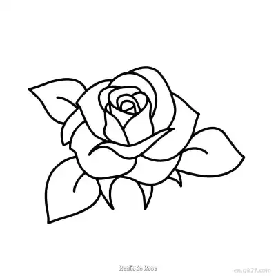 Free printable Realistic Rose  Coloring Page - Free PDF Printable Rose Coloring Sheets coloring page