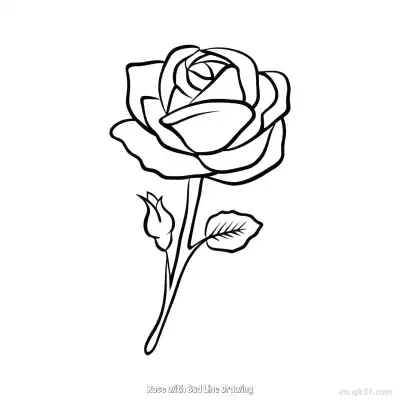 Free printable Rose with Bud Line Drawing  Coloring Page - Free PDF Printable Rose Coloring Sheets coloring page