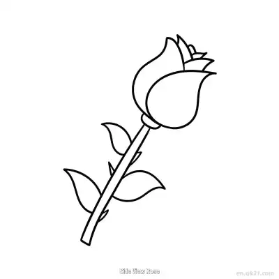 Free printable Side View Rose  Coloring Page - Free PDF Printable Rose Coloring Sheets coloring page
