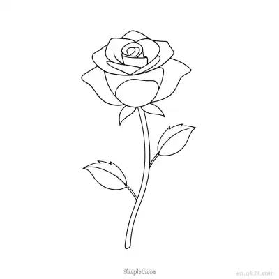 Free printable Simple Rose  Coloring Page - Free PDF Printable Rose Coloring Sheets coloring page
