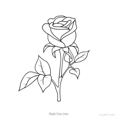 Free printable Single Stem Rose  Coloring Page - Free PDF Printable Rose Coloring Sheets coloring page