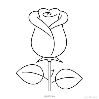 Free printable Spiral Rose  Coloring Page - Free PDF Printable Rose Coloring Sheets coloring page