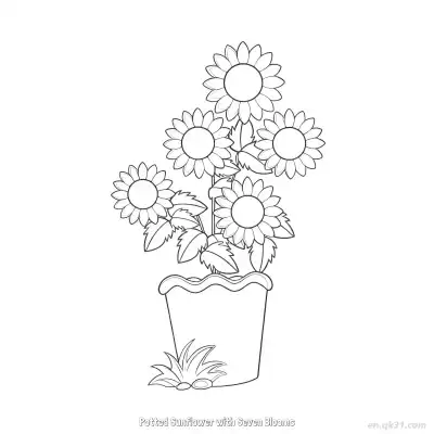 Free printable Potted Sunflower with Seven Blooms  Coloring Page - Free PDF Printable Sunflower Coloring Sheets coloring page
