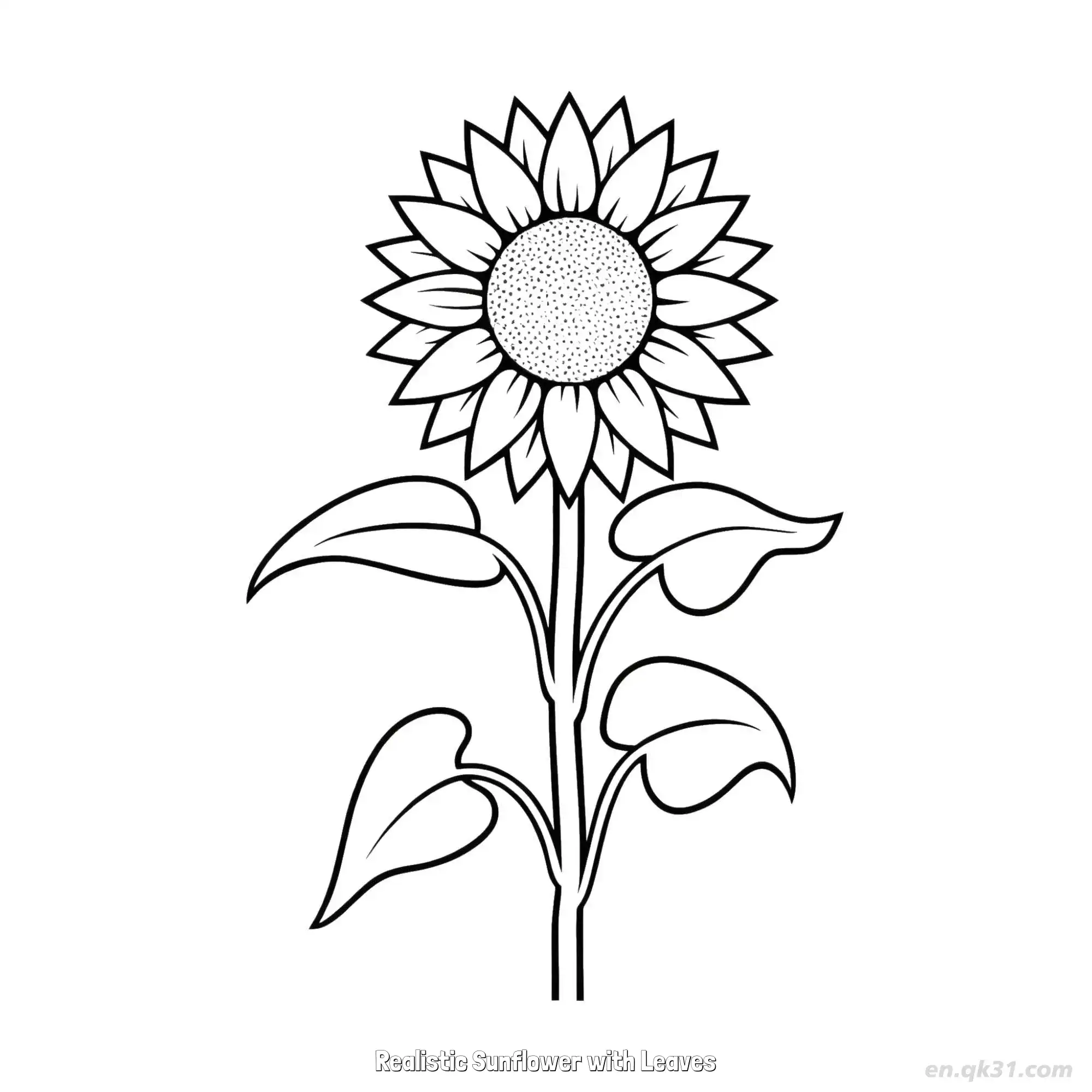 Realistic Sunflower with Leaves  Coloring Page - Free Printable Sunflower PDF Coloring Sheets – Free Printable Coloring Page for Kids and Adults