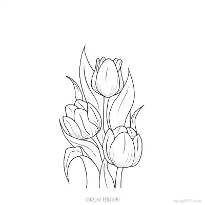 Free printable Natural Tulip Trio  Coloring Page - Free PDF Printable Tulips Coloring Sheets coloring page