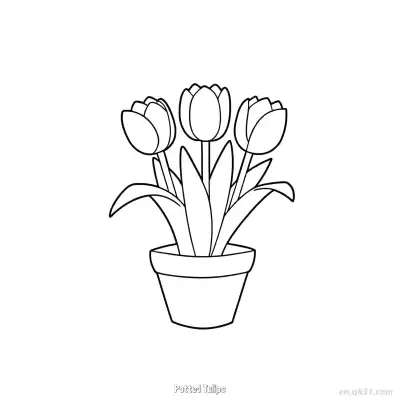 Free printable Potted Tulips  Coloring Page - Free PDF Printable Tulips Coloring Sheets coloring page