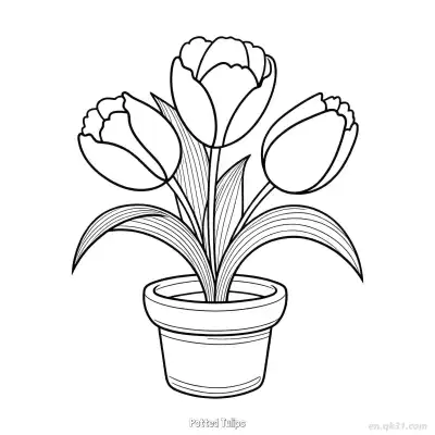 Free printable Potted Tulips 2 Coloring Page - Free PDF Printable Tulips Coloring Sheets coloring page