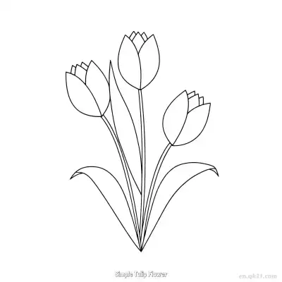 Free printable Simple Tulip Flower  Coloring Page - Free PDF Printable Tulips Coloring Sheets coloring page