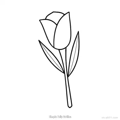 Free printable Simple Tulip Outline  Coloring Page - Free PDF Printable Tulips Coloring Sheets coloring page