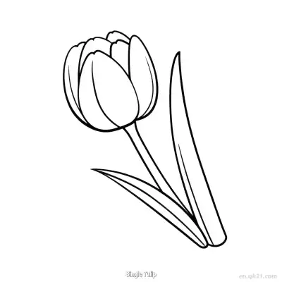 Free printable Single Tulip  Coloring Page - Free PDF Printable Tulips Coloring Sheets coloring page