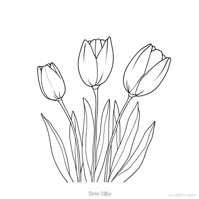Free printable Three Tulips  Coloring Page - Free PDF Printable Tulips Coloring Sheets coloring page