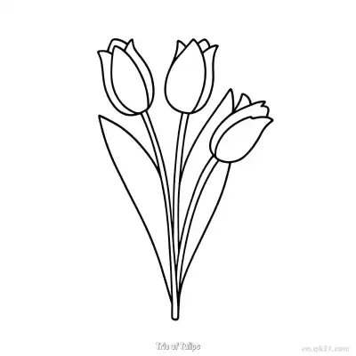 Free printable Trio of Tulips  Coloring Page - Free PDF Printable Tulips Coloring Sheets coloring page
