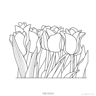 Free printable Tulip Cluster  Coloring Page - Free PDF Printable Tulips Coloring Sheets coloring page