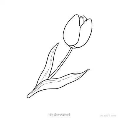 Free printable Tulip Flower Sketch  Coloring Page - Free PDF Printable Tulips Coloring Sheets coloring page